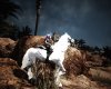 Capture_2_PhotoGallery_1.jpg