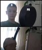 comment_PKTFuzp2Q9fdRccyqy9F9DrE3tD7mEaO (1).jpg