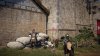 BlackDesert64_0vJ2YFKCIb.jpg