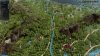 2022-06-15_44329129.JPG