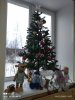 IMG_20221216_115705.jpg