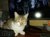IMG_20230104_183905.jpg