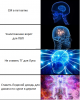 ыва.png