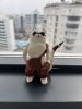 IMG_4744.jpeg