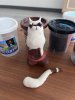 IMG_4711.jpeg