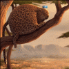 EXC11.gif
