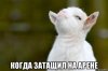 risovach.ru (1).jpg