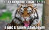 risovach.ru (6).jpg