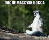 risovach.ru (10).jpg