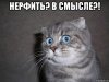 risovach.ru (11).jpg