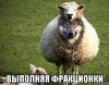 risovach.ru (18).jpg