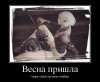 838722_vesna-prishla_demotivators_to.jpg