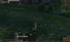 Shot00000.jpg