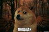 sad-doge_98507762_orig_.jpg