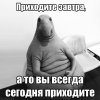 5890f2459ae38.jpg