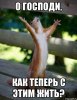 belka_61403518_orig_.jpg