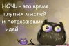2f4b431a7f68107beaa43309d87952dc.jpg