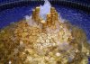 85469863_moneyfountain745533.jpg