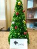 IMG_20181227_114959.jpg