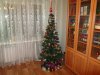 новый 2019.JPG