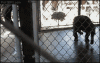 _yapfiles.ru.gif