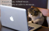 upload_2019-2-21_4-29-31.png