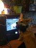 IMG_20190503_162722_961.jpg