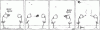 bc0616d.gif