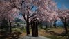sakura2.1.jpg