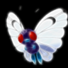 Ptitlaby2