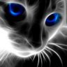 Nevil_PWNZ