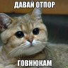 ПушистыйКот