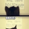 DomovoiUL