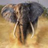 3lephant