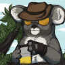AngryKoala