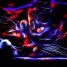 WildShadow