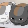 КотенокГаф