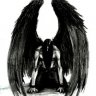 Zeous