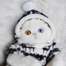 Котейство