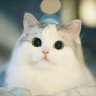 MintSep