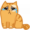 Purpurr