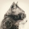 Katzen