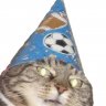 Тоха Коттер
