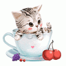 User474