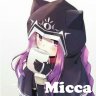 MiccaLSM