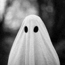Invidia