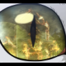 Sternrad