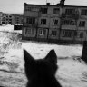 Владыка тени