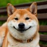 PiwPiwPiw