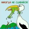 гном4п